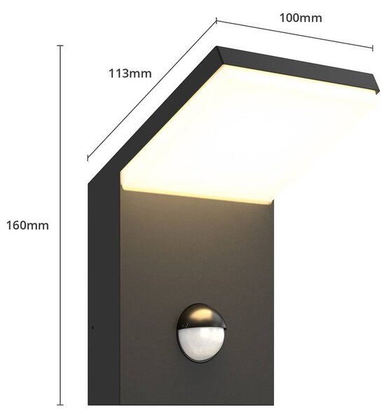 Lampa zewnętrzna z czujnikiem ruchu Nevio Lucande, aluminiowy / szary / cynkowy, aluminium, nowoczesny
