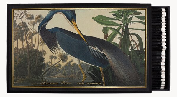 Zapałki Louisiana Heron
