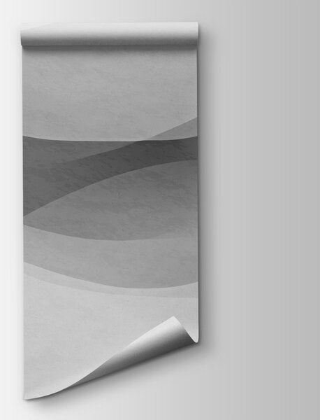 Fototapeta Białe tło z czarno-białymi falami, Fototapety Abstrakcja, Popularne Fototapety, t01055v5 - Tapeko.pl