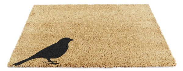 Wycieraczka z włókna kokosowego 40x60 cm Bird – Artsy Doormats
