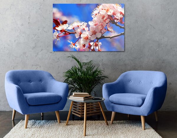 Obraz kwiat wiśni