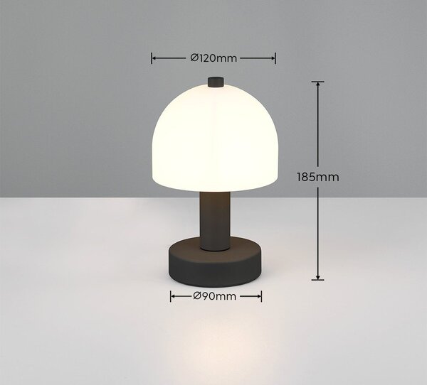 Czarno-biała lampa stołowa ze szklanym kloszem (wysokość 19 cm) Glenn – Reality