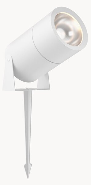 Lampa zewnętrzna wbijana LED Bern