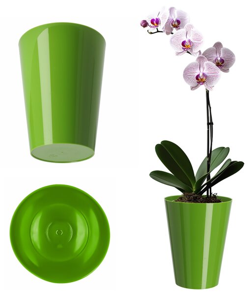 Doniczka na storczyka Cerda 13 cm, zielona