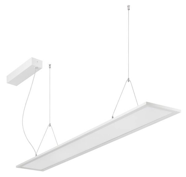 BRUMBERG Lampa wisząca LED Adara 149,5 cm, włącznik/wyłącznik, 2CCT,, biały / opal, biuro, aluminium