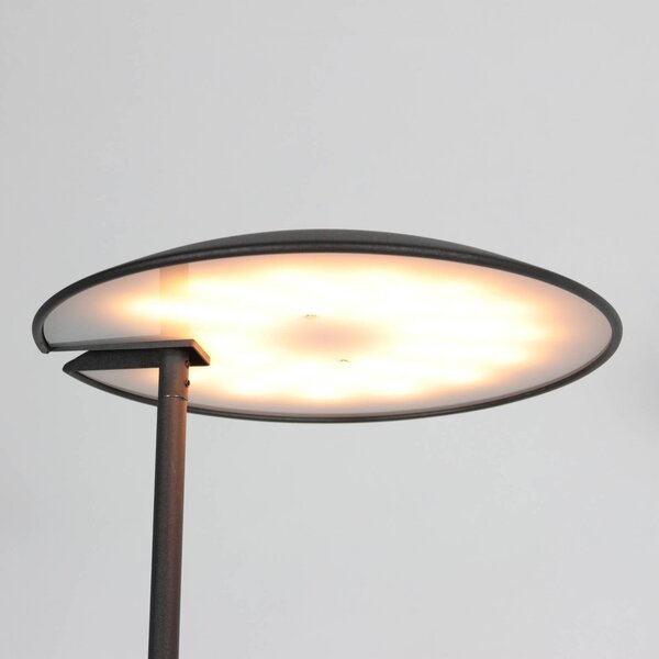 Steinhauer Lampa stojąca Daphne, możliwość ściemniania, czarny, salon / jadalnia, metal, nowoczesny