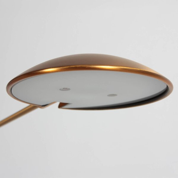 Steinhauer Lampa stojąca Daphne, możliwość ściemniania, brązowy / mosiężny, salon / jadalnia, metal, nowoczesny
