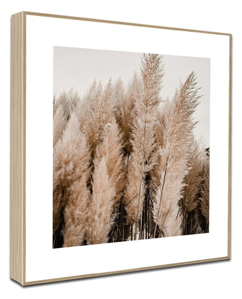 Obrazy zestaw 4 szt. 30x30 cm Aesthetic