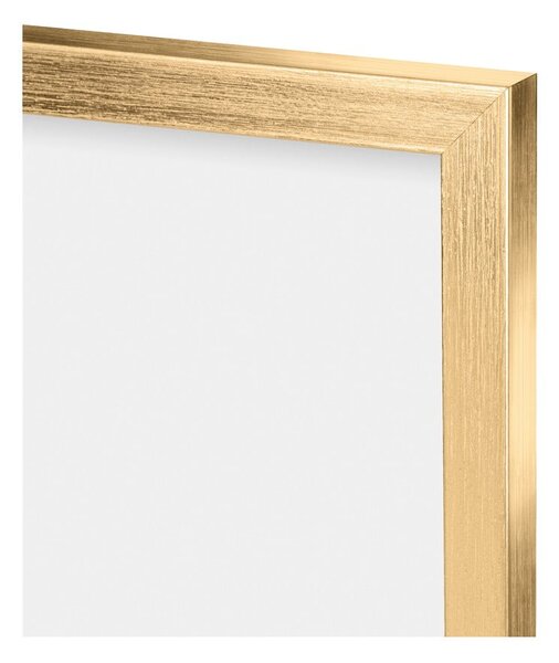Obrazy zestaw 3 szt. 30x40 cm Fern – knor