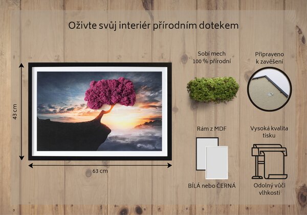 Obraz z mchem Drzewo nad przepaścią