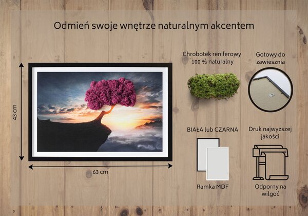 Obraz z mchem Drzewo nad przepaścią