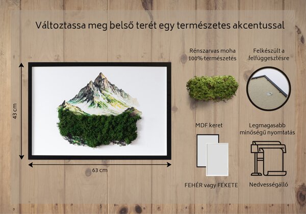Obraz z mchem Szczyt góry nad lasem