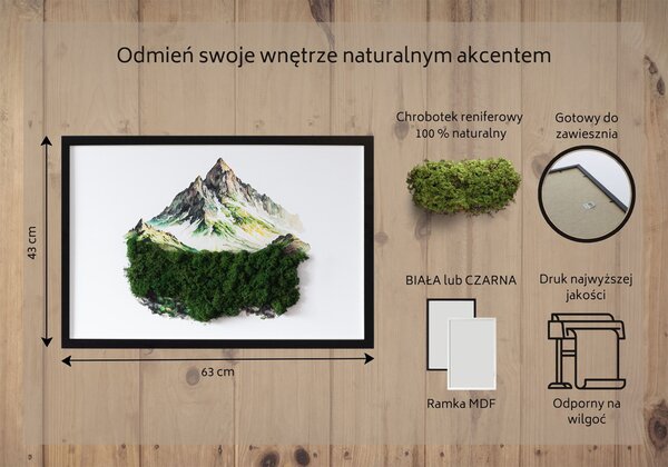 Obraz z mchem Szczyt góry nad lasem