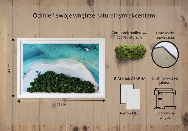 Obraz z mchu Lazurowa plaża