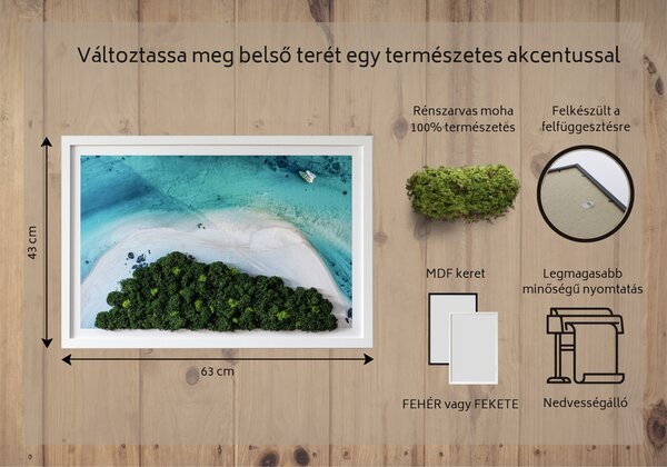 Obraz z mchu Lazurowa plaża