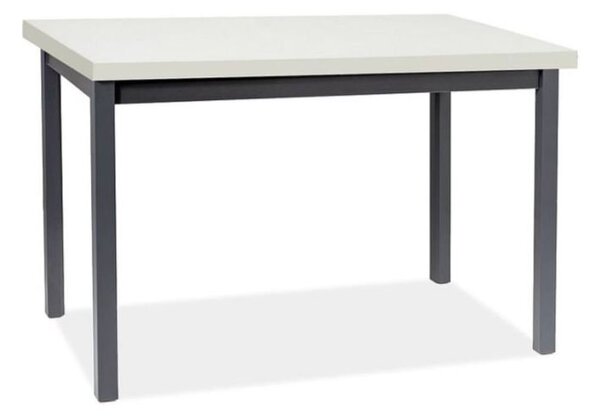 Stół Adam 100X60 Czarny / Biały Mat