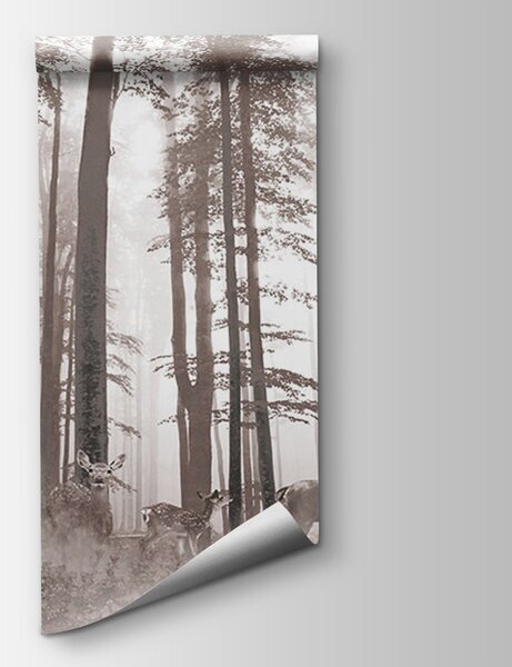 Fototapeta Grupa jeleni w lesie, Fototapety Natura, Popularne Fototapety, u93893 - Tapeko.pl