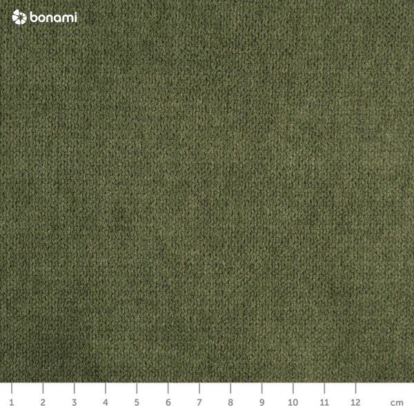 Zielony fotel typu uszak Noemye – Bonami Selection