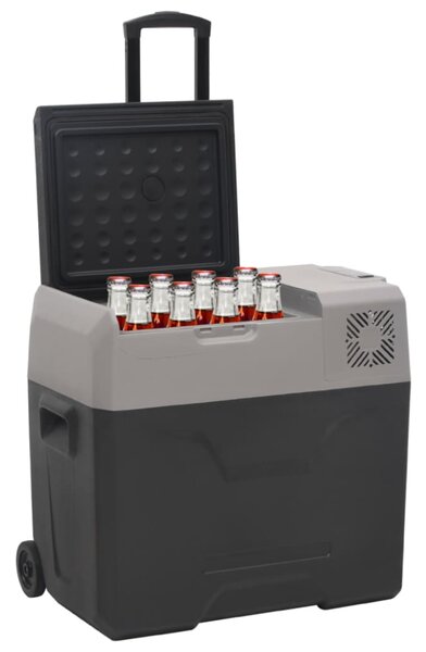Lodówka na kółkach, z uchwytem, czarno-szara, 30 L, PP