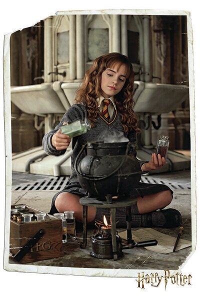 Plakat, Obraz Harry Potter - Hermiona Granger, (61 x 91.5 cm)