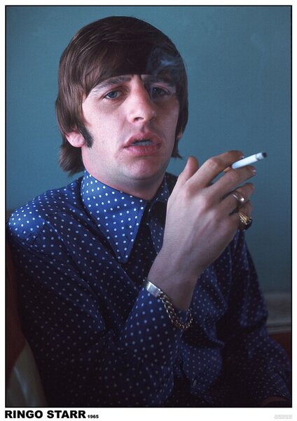 Plakat, Obraz The Beatles - Ringo Starr