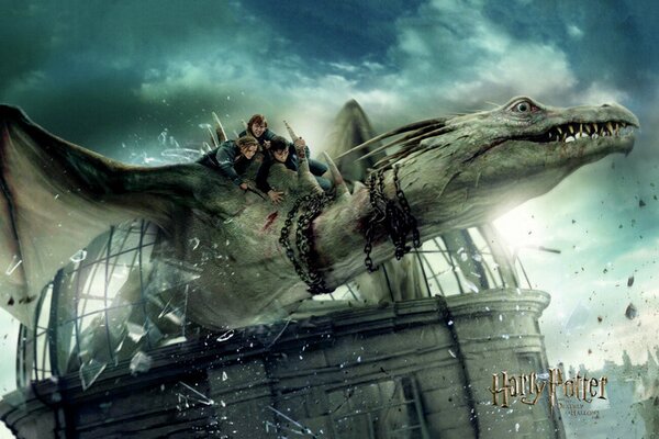 Plakat, Obraz Harry Potter - Dragon ironbelly, (120 x 80 cm)