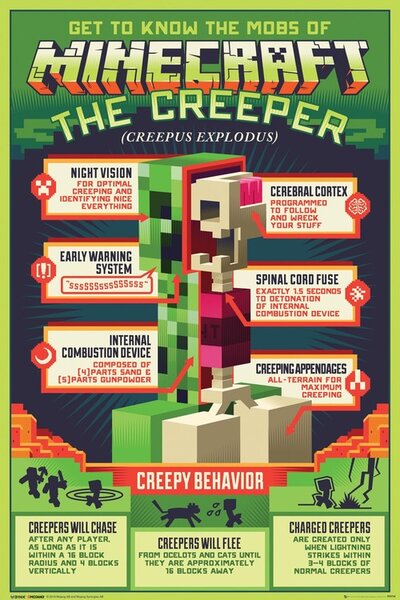 Plakat, Obraz Minecraft - Creepy Behaviour