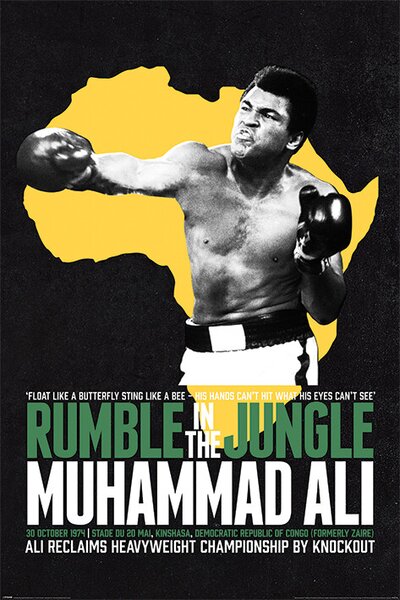 Plakat, Obraz Muhammad Ali - Rumble in the Jungle, (61 x 91.5 cm)