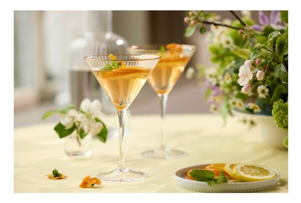 Kieliszki do koktajli zestaw 4 szt. 250 ml Palermo – Lyngby Glas
