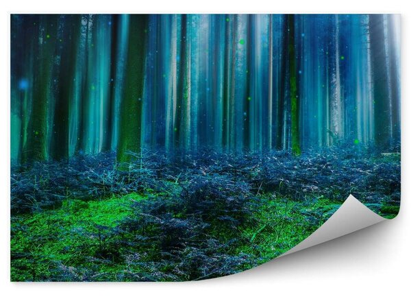 Bajkowy las niebieski zielony światełka Fototapeta na ścianę Bajkowy las niebieski zielony światełka