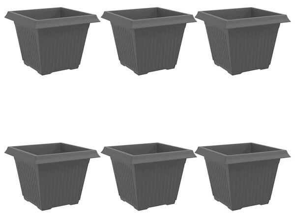 Kwadratowa doniczka na kwiaty 6 pcs Czarny 43 x 43 x 33,5 cm