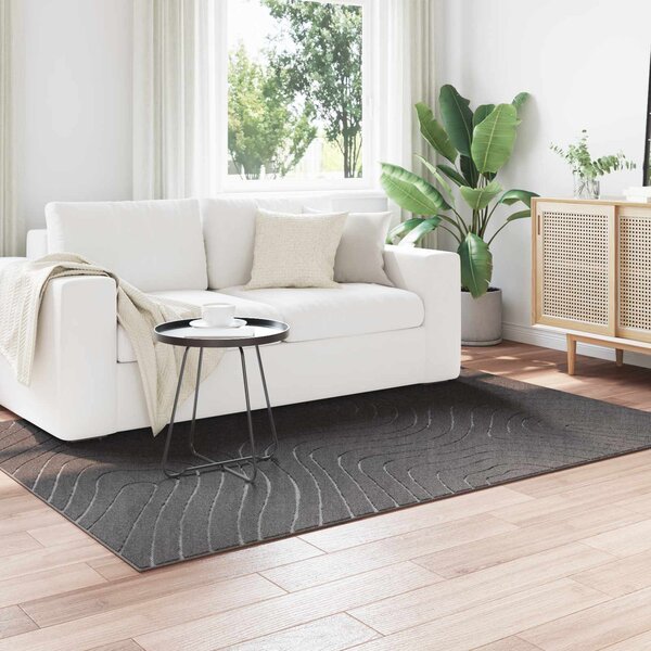 Dywany pokojowe PALMERAS Antracyt 170 x 120 cm Poliester