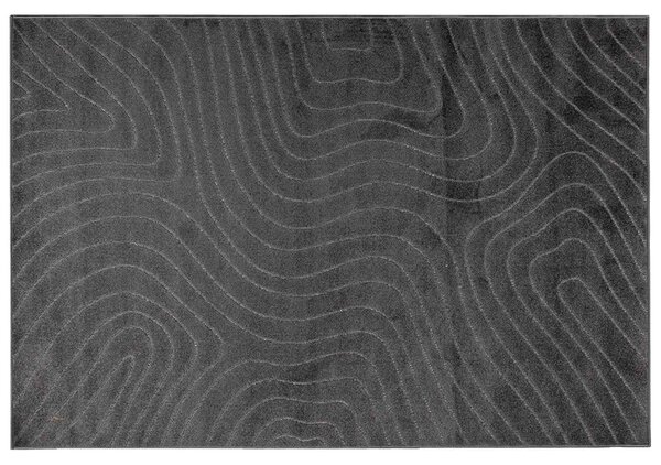 Dywany pokojowe PALMERAS Antracyt 170 x 120 cm Poliester