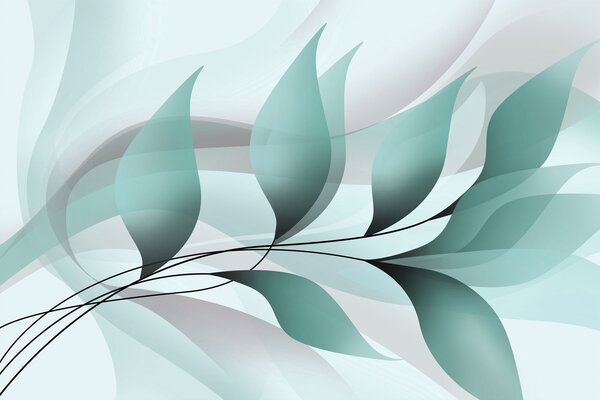 Fototapety elegancka gałązka z turkusowymi liśćmi , Fototapety Natura, Fototapety Liście, w05660v1 : Uwalls.pl