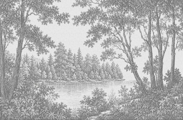 Fototapeta Rzeka z drzewami i krzewami, Fototapety Natura, Popularne Fototapety, t00767 - Tapeko.pl