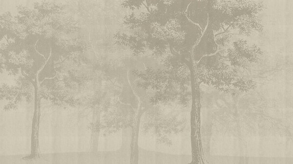 Fototapeta Grupa drzew w zamglonym lesie, Fototapety Natura, Popularne Fototapety, t00786 - Tapeko.pl