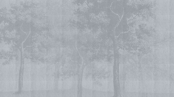 Fototapeta Szare tło z drzewami, Fototapety Natura, Popularne Fototapety, t00786v1 - Tapeko.pl