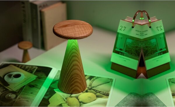 Lampa stołowa LED w naturalnym kolorze z drewnianym kloszem (wysokość 21 cm) Sylva – Gingko