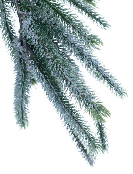Girlanda Pine Tree 10x10x200cm frosted