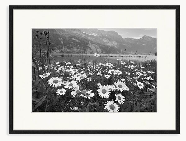 Oprawiony druk cyfrowy Alpine Meadow