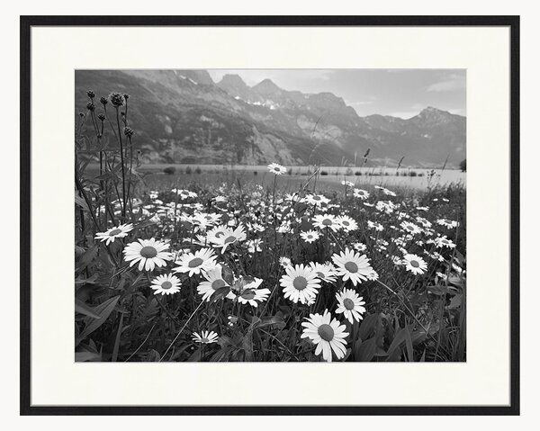 Oprawiony druk cyfrowy Alpine Meadow