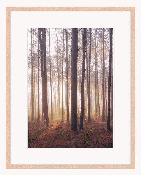 Oprawiony druk cyfrowy Into The Foggy Woods