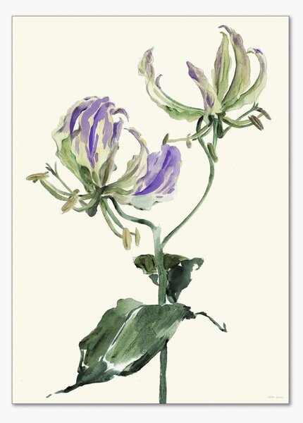 Plakat Gloriosa