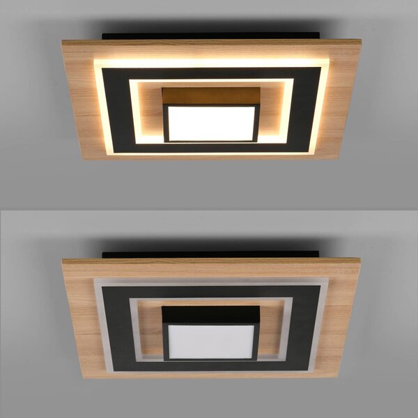 JUST LIGHT. GmbH Lampa sufitowa Tola, jasne drewno, salon / jadalnia, drewno, nowoczesny