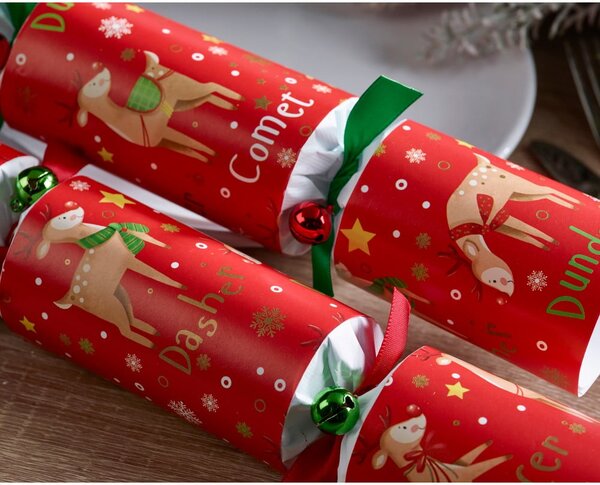 Crackery świąteczne zestaw 6 szt. Rudolph & Friends – Robin Reed