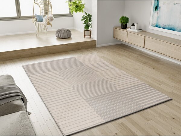 Jasnoszary dywan 80x150 cm Optica – Bonami Selection