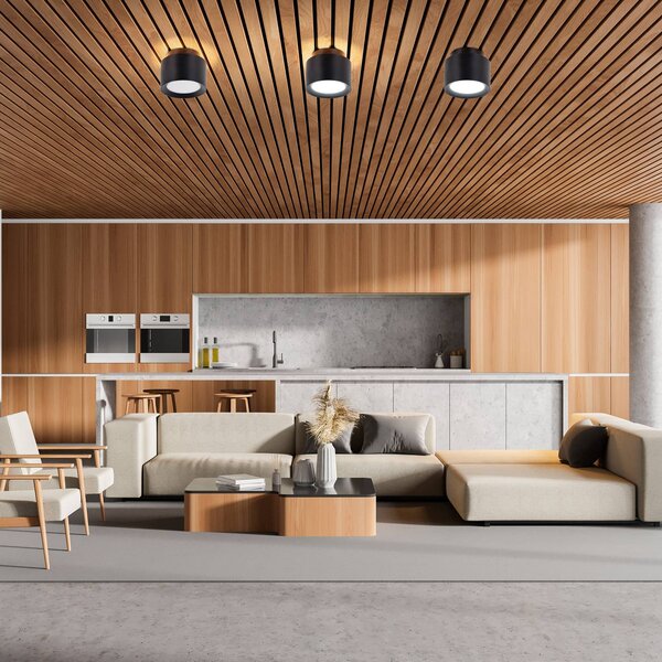 Näve Lampa sufitowa LED Trimes, możliwość ściemniania, czarny, salon / jadalnia, tworzywo sztuczne