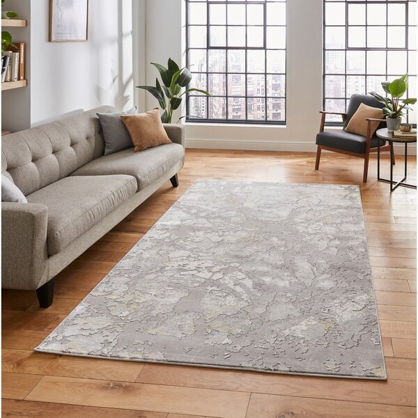 Szaro-złoty dywan 170x120 cm Apollo – Think Rugs