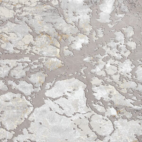Szaro-złoty dywan 170x120 cm Apollo – Think Rugs
