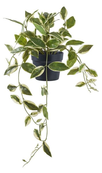 Sztuczna roślina (wysokość 33 cm) Hoya Carnosa – House Nordic